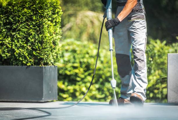Best Sidewalk and Walkway Cleaning  in Spring Valley Lake, CA